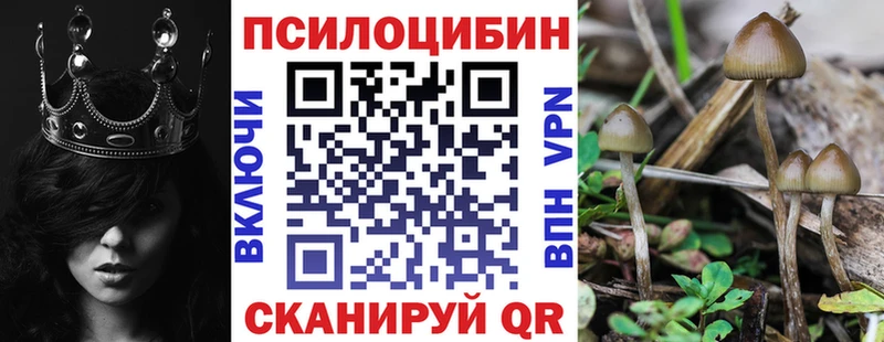 маркетплейс телеграм  Хасавюрт  Галлюциногенные грибы MAGIC MUSHROOMS 