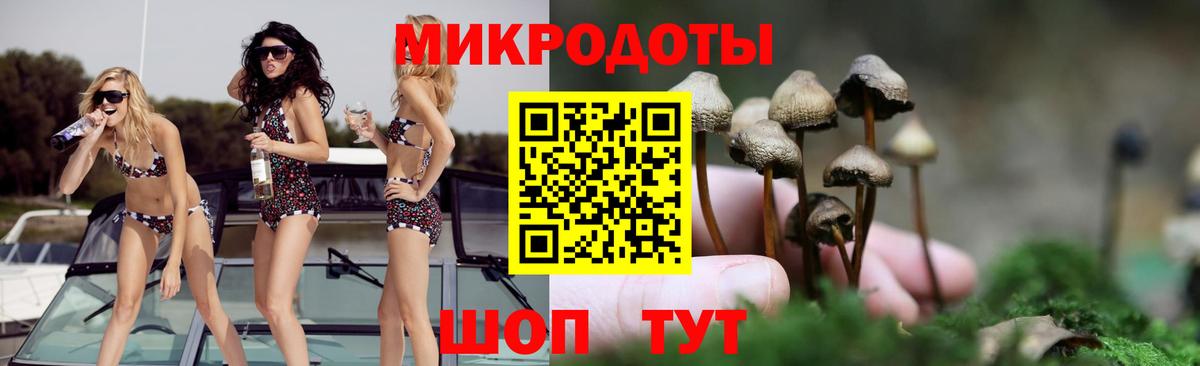 Псилоцибиновые грибы Cubensis Хасавюрт